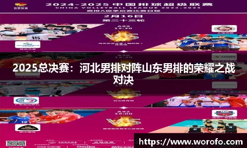 2025总决赛：河北男排对阵山东男排的荣耀之战对决