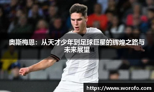 bsports登录入口